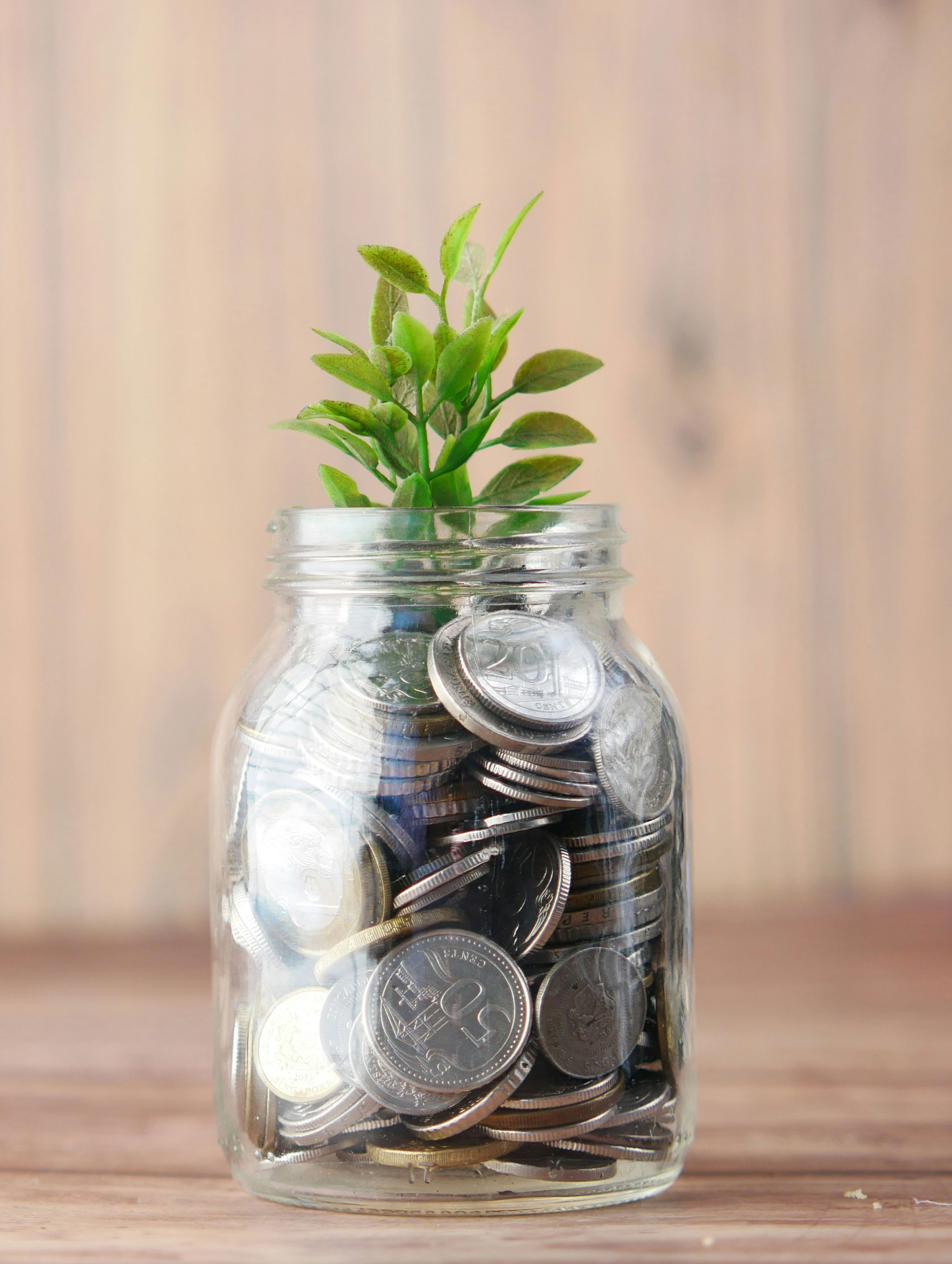 Was gilt alles als Eigenkapital? Mögliche Optionen sowie  Risiko- und Chancenbewertung